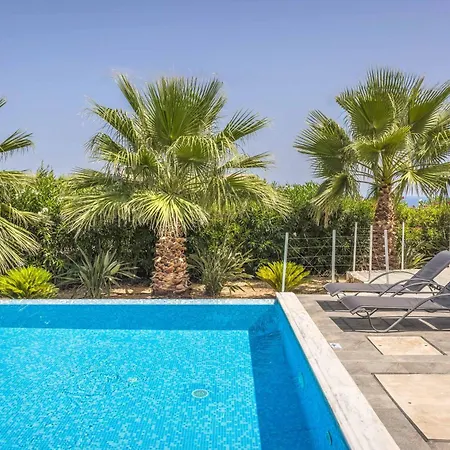 فيلة Seahorse Skala *